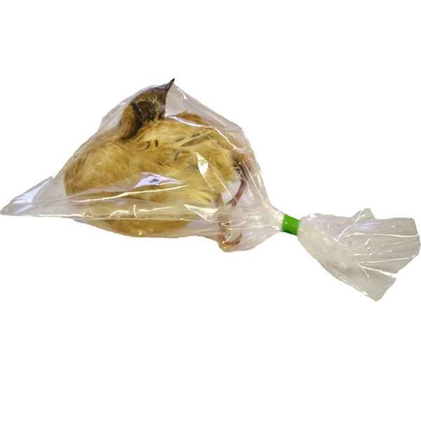 Komplette Wachtel mit Federn in einem durchsichtigen Plastikbeutel.