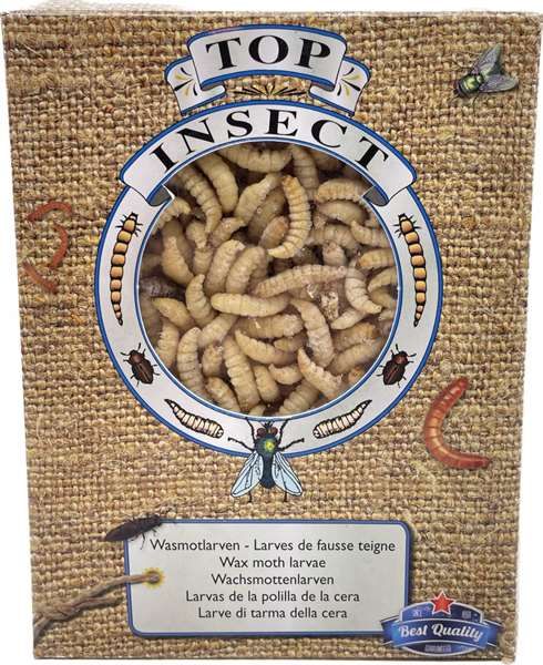 Eine rechteckige Verpackung mit Jute-Muster und rundem Sichtfenster, durch das viele gelbliche Larven zu sehen sind. Unten steht „Wachsmottenlarven“, darüber ein Banner mit der Aufschrift „Top Insect“.