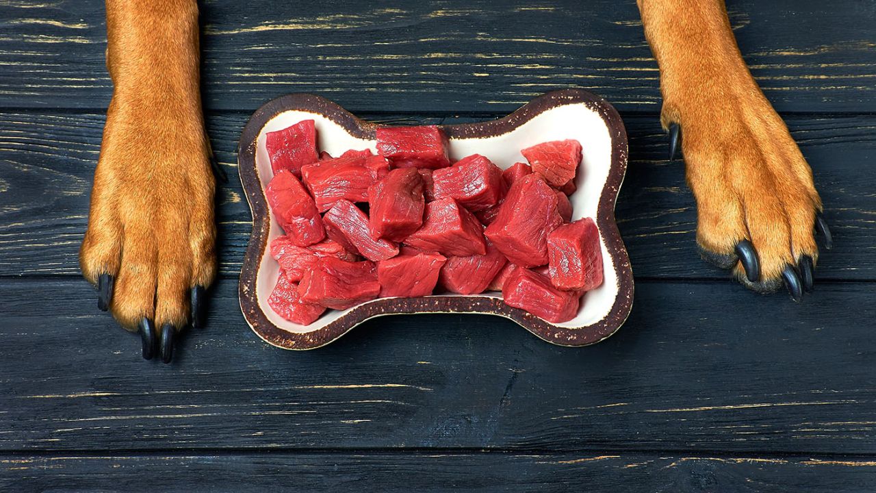 pferdefleisch-fuer-hunde pferdefleisch-fuer-hunde