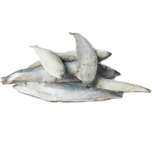 Mehrere ganze, gefrorene Stinte liegen locker übereinander. Die kleinen Fische haben eine weißlich bis silbrig graue Farbe mit einer leicht bereiften, frostigen Oberfläche und sind vollständig mit Kopf und Flossen sichtbar.
