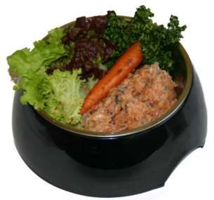 Ein schwarzer Futternapf, gefüllt mit fein gewolftem Lachs-Mix. Die Füllung hat eine lachsrosa Farbe mit kleinen dunklen Einschlüssen und feuchter, leicht glänzender Struktur.