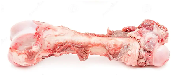 Ein einzelner, roher Kalbsgelenkknochen mit anhaftendem Fleisch und Sehnengewebe. Der Knochen ist länglich geformt mit zwei rundlichen Gelenkenden und zeigt eine hellrosa bis rötliche Färbung mit weißen Fettanteilen.
