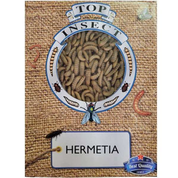 Eine rechteckige Verpackung mit Jute-Muster und rundem Sichtfenster, durch das viele helle Larven zu sehen sind. Unten steht „Hermetia“, darüber ein Banner mit der Aufschrift „Top Insect“.