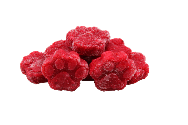 Mehrere gefrorene, leuchtend rote Pfötchen aus pürierten Cranberries, leicht übereinandergestapelt.